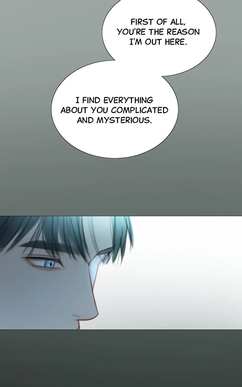Read Serena Manga Online