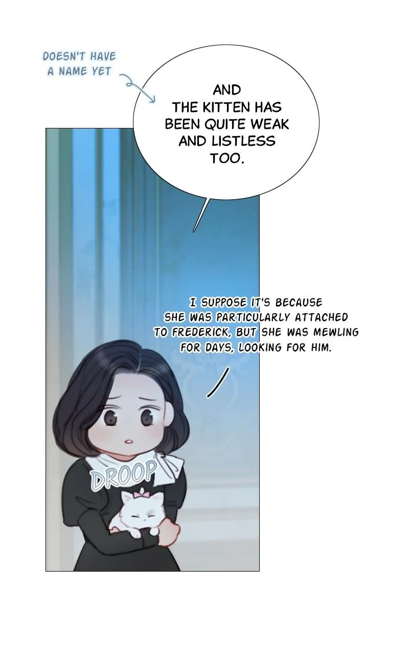 Read Serena Manga Online