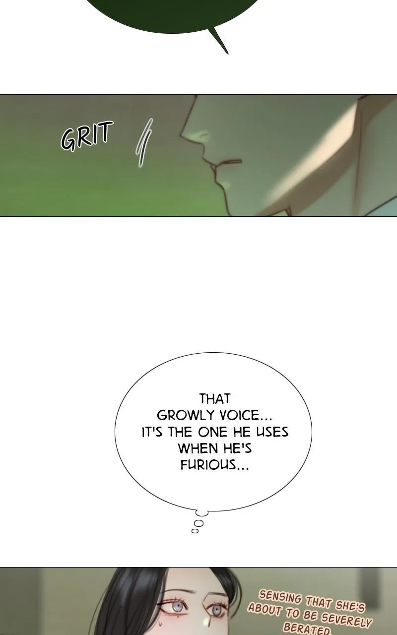 Read Serena Manga Online