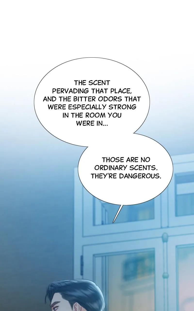Read Serena Manga Online