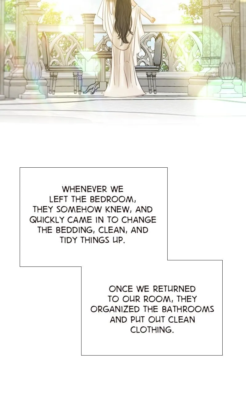 Read Serena Manga Online