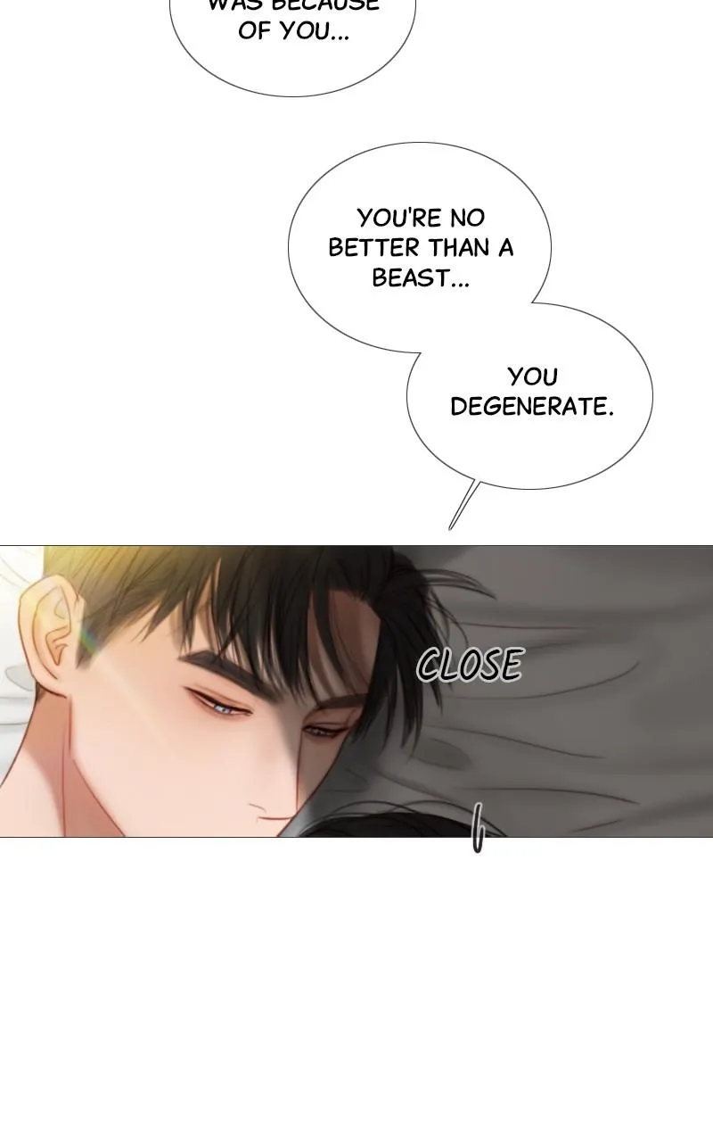 Read Serena Manga Online