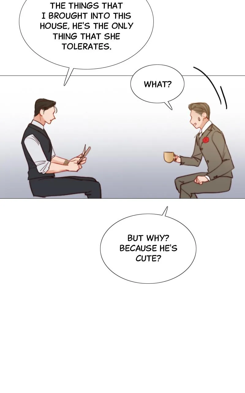 Read Serena Manga Online