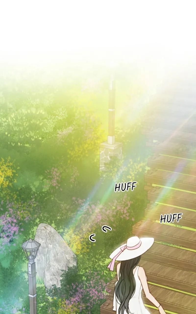 Read Serena Manga Online
