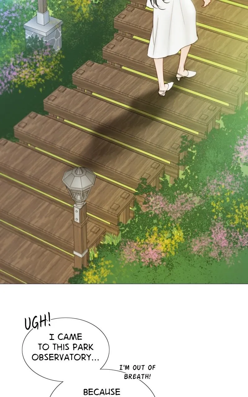 Read Serena Manga Online