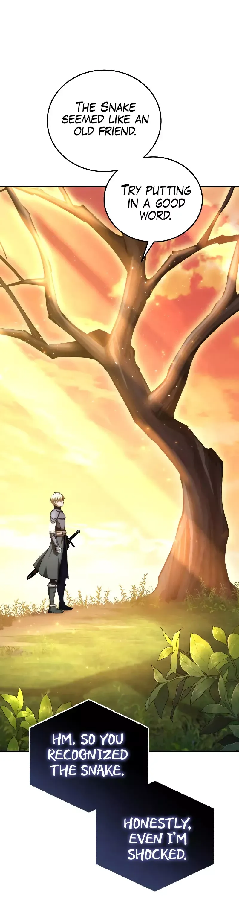 Read Star-Fostered Swordmaster Manga Online