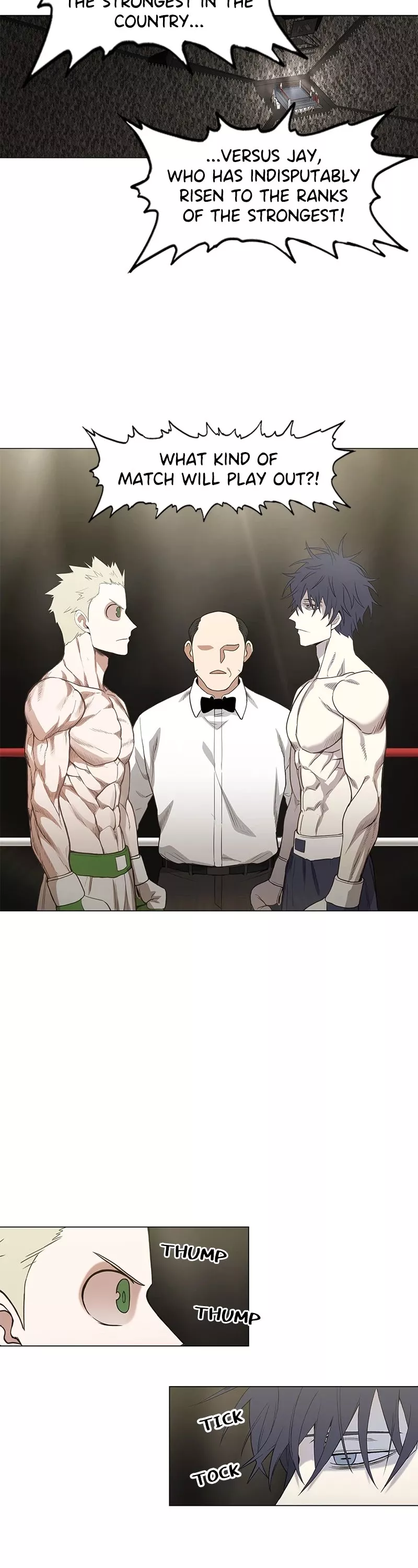 Read The Boxer Manga Online