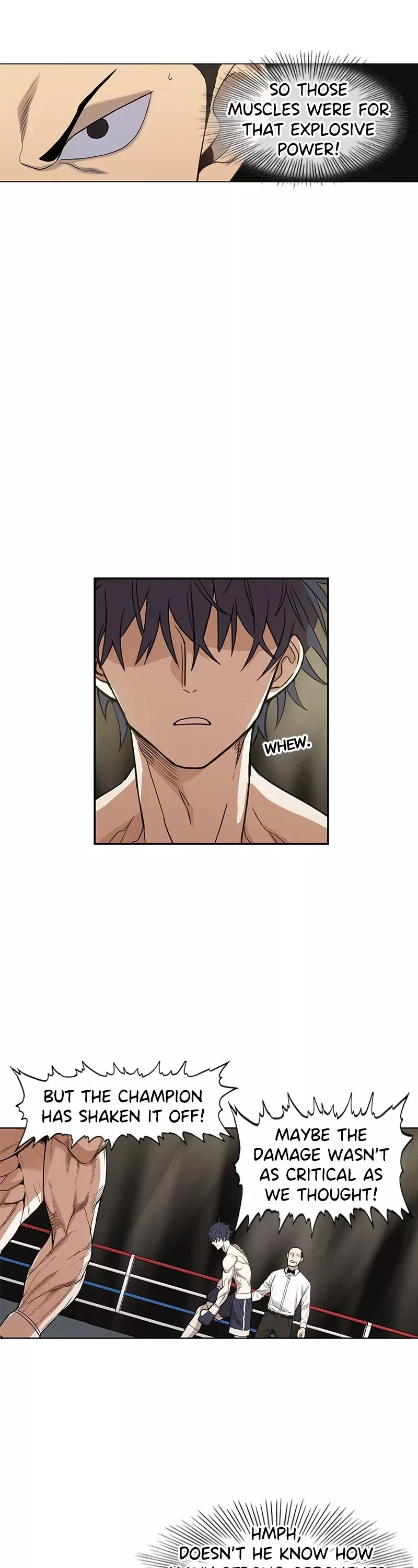 Read The Boxer Manga Online