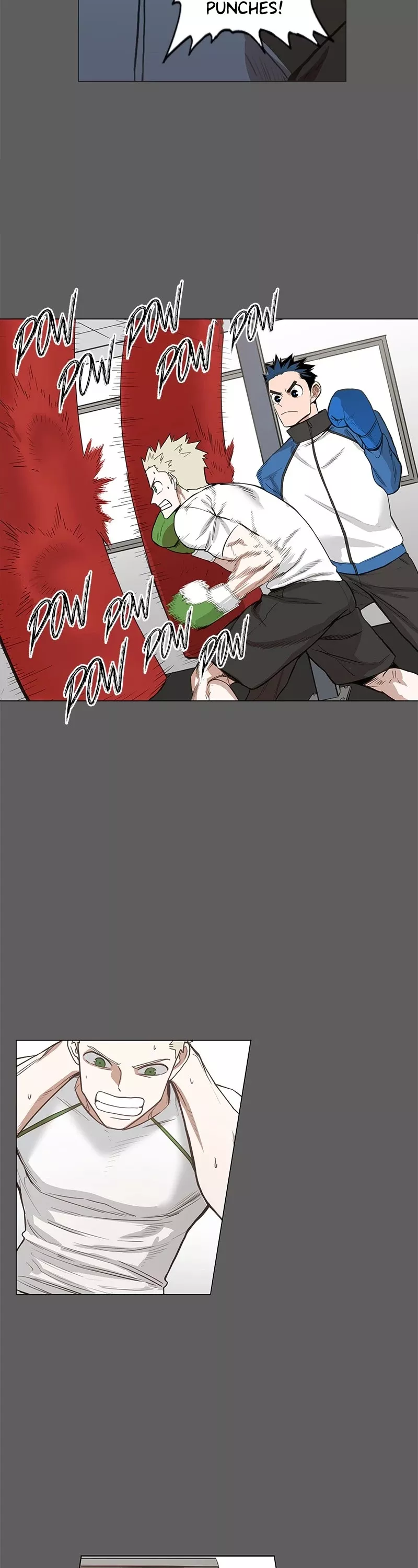 Read The Boxer Manga Online