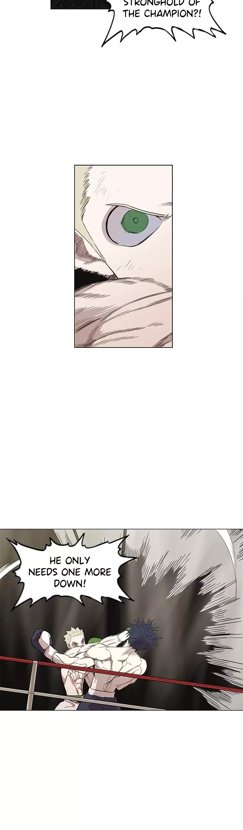 Read The Boxer Manga Online