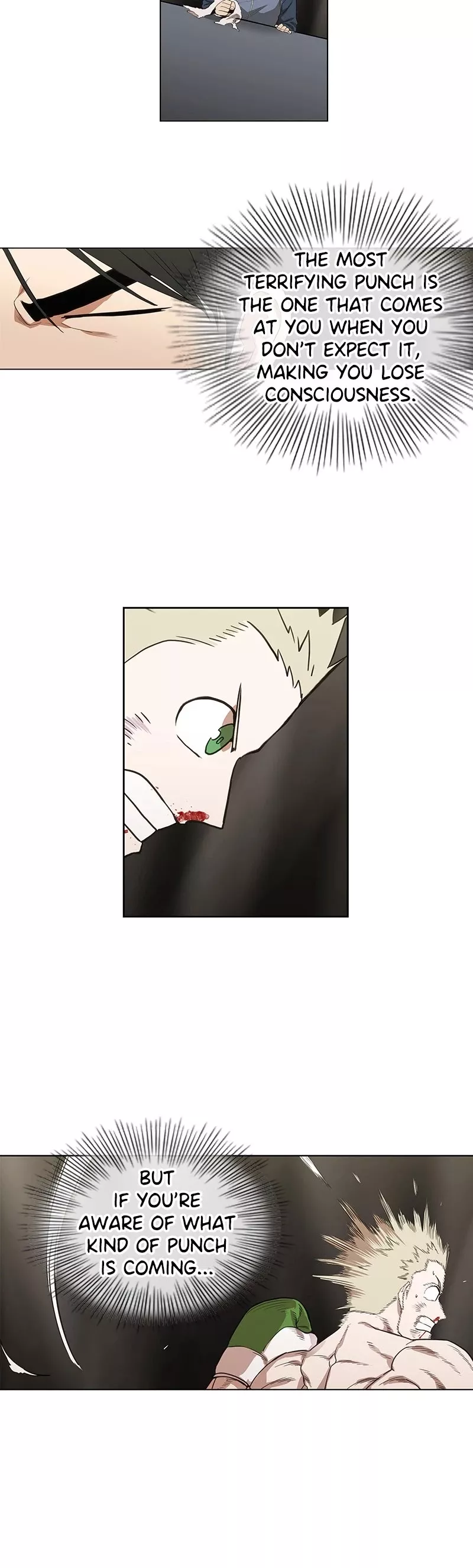 Read The Boxer Manga Online