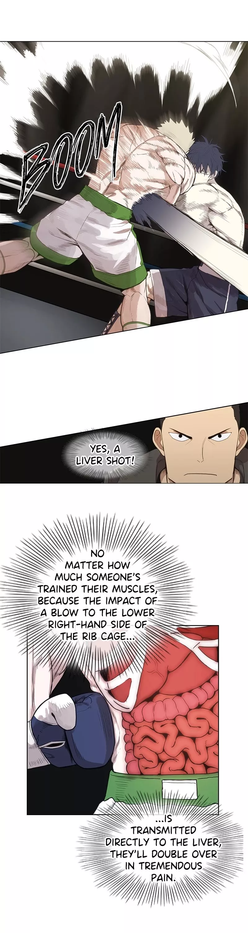 Read The Boxer Manga Online