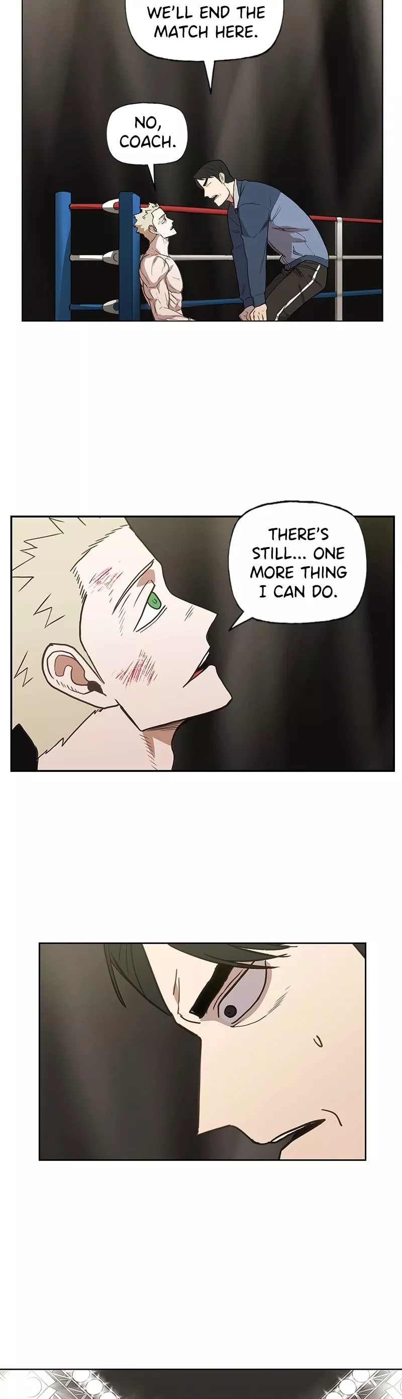 Read The Boxer Manga Online