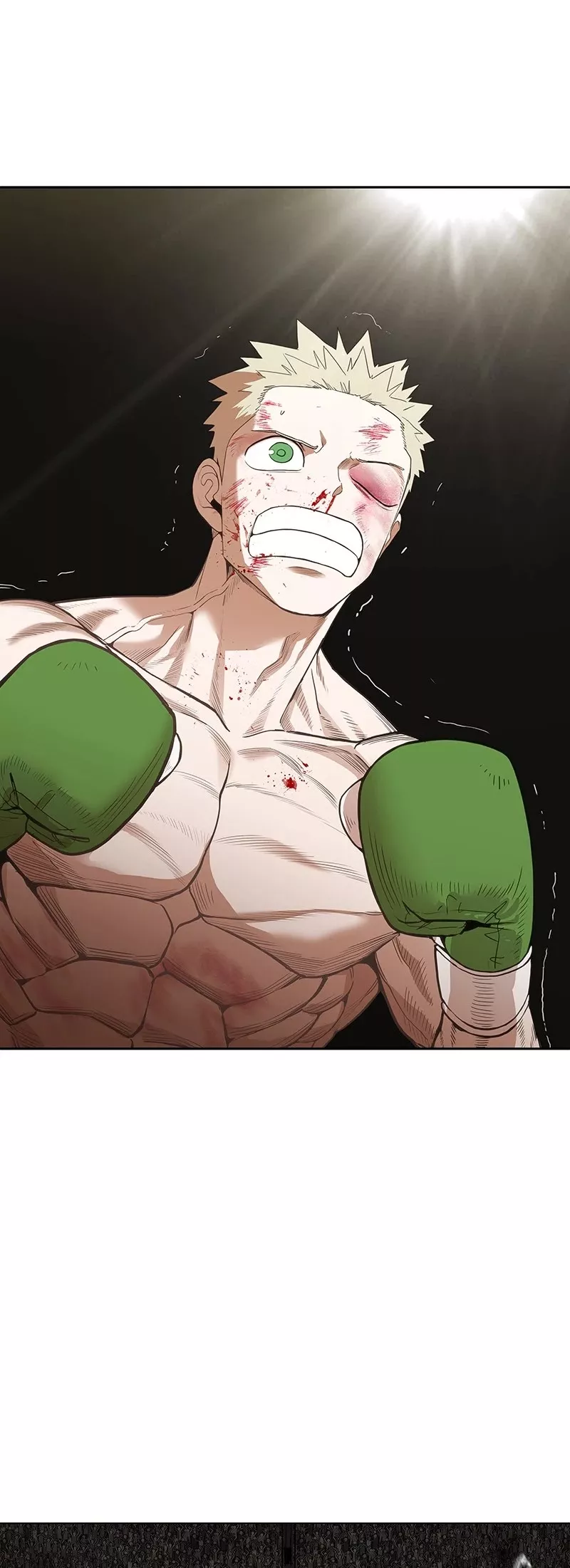 Read The Boxer Manga Online