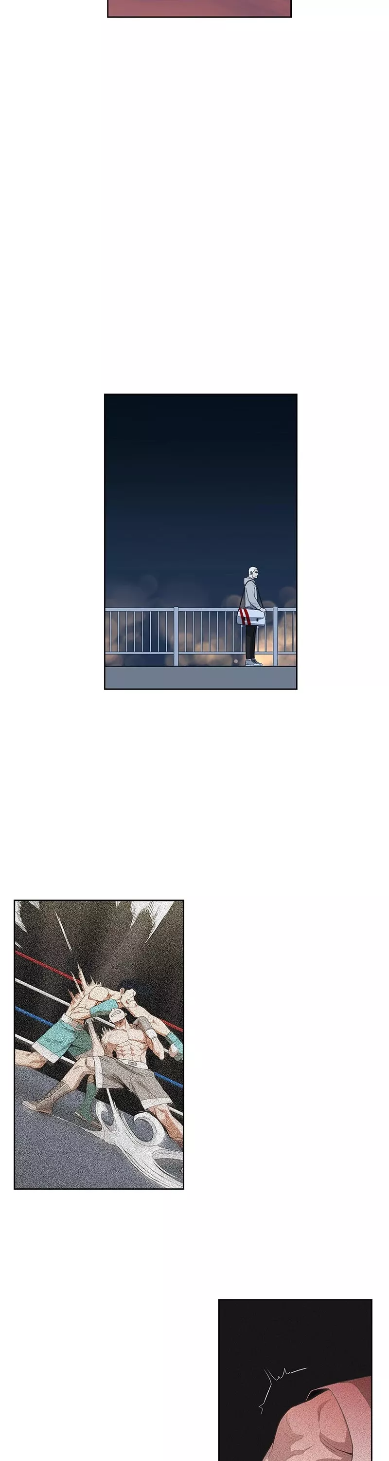 Read The Boxer Manga Online