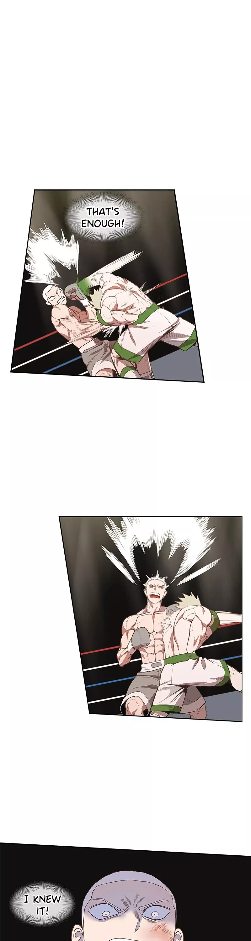 Read The Boxer Manga Online