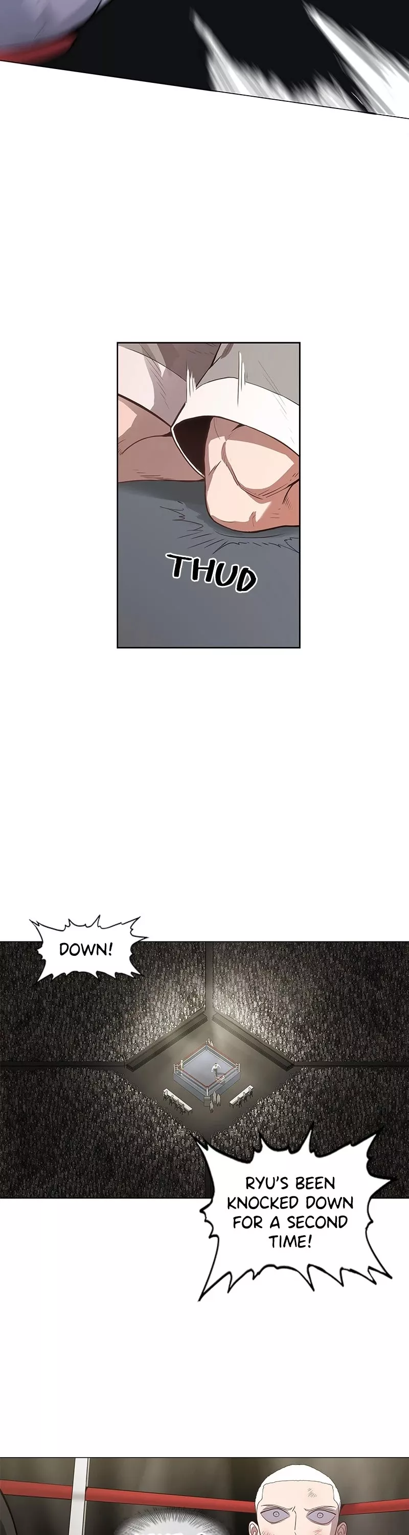 Read The Boxer Manga Online