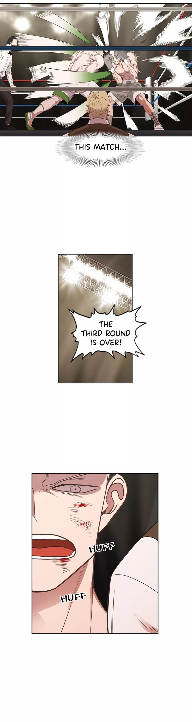 Read The Boxer Manga Online