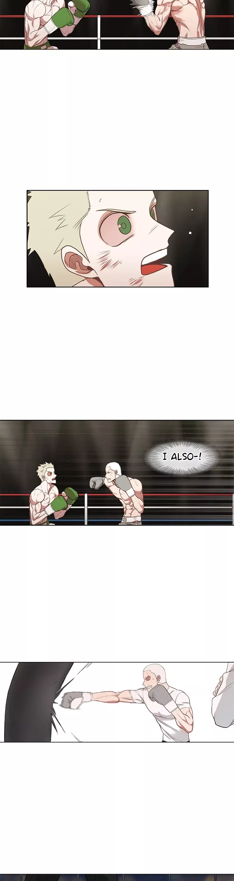 Read The Boxer Manga Online