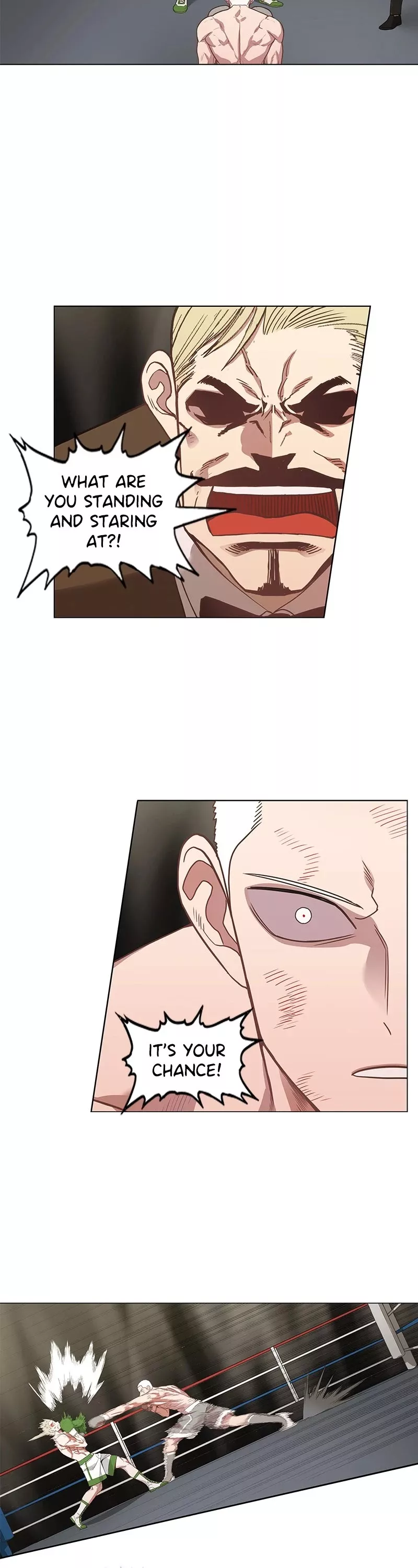 Read The Boxer Manga Online