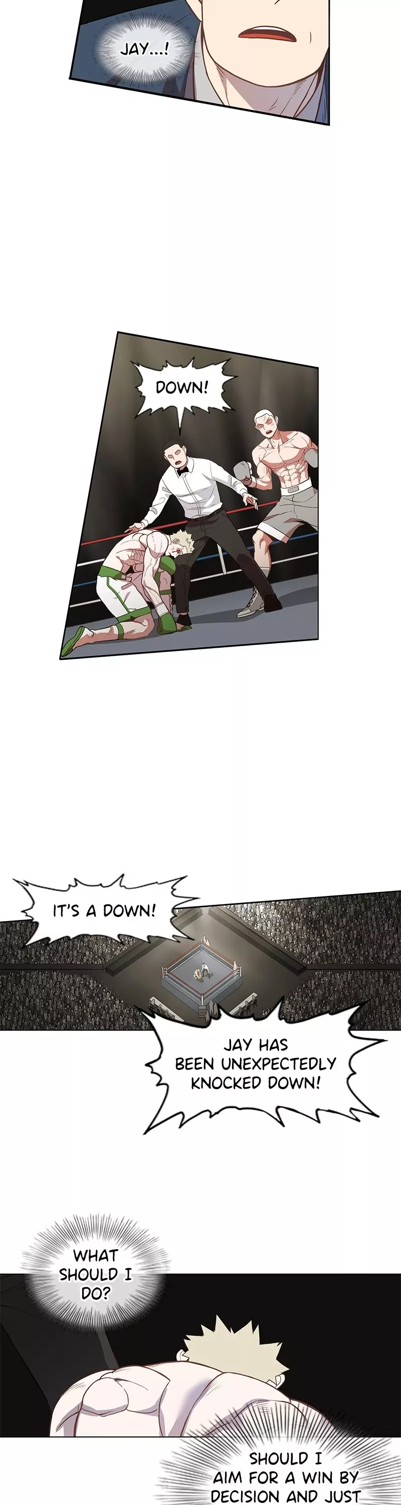 Read The Boxer Manga Online