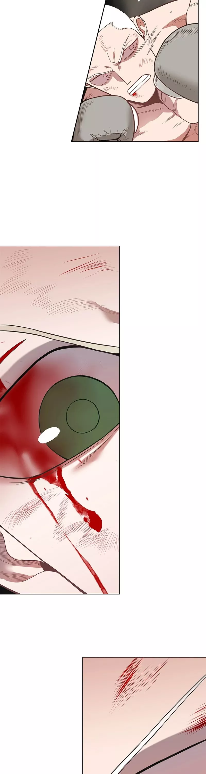 Read The Boxer Manga Online
