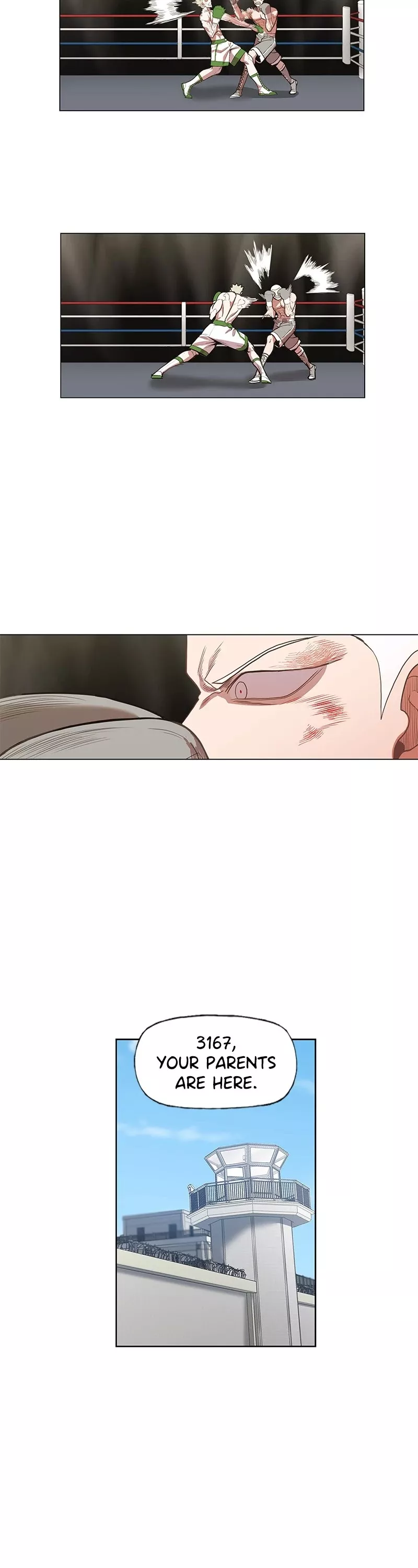 Read The Boxer Manga Online
