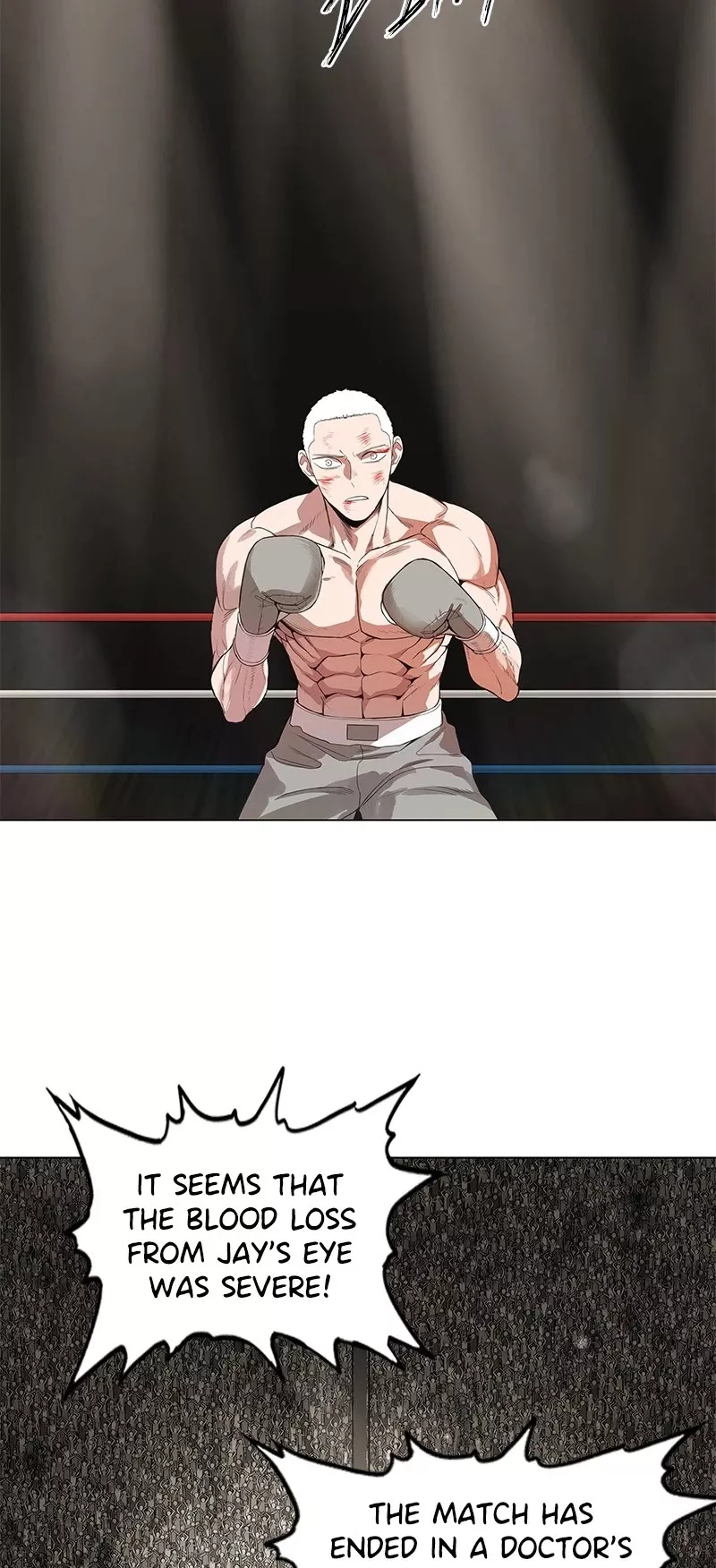 Read The Boxer Manga Online