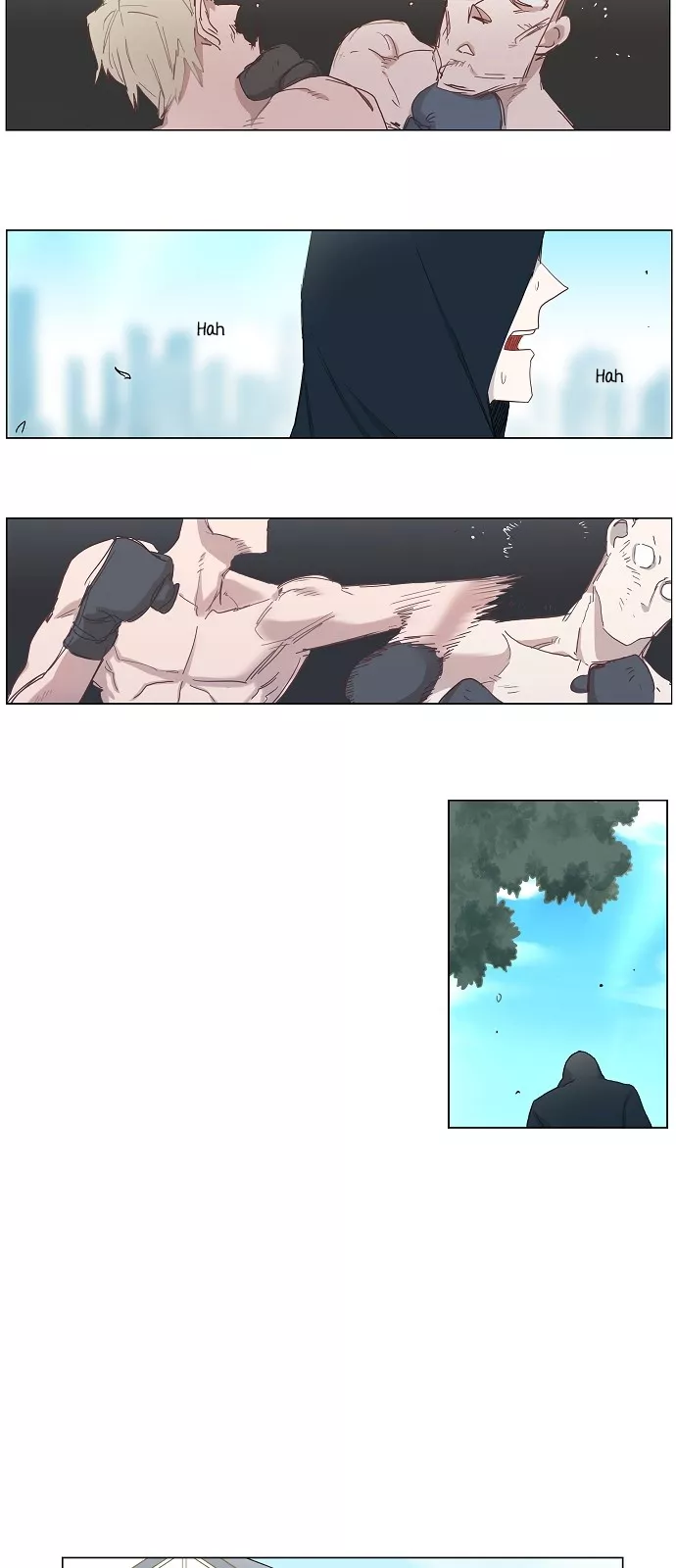 Read The Boxer Manga Online