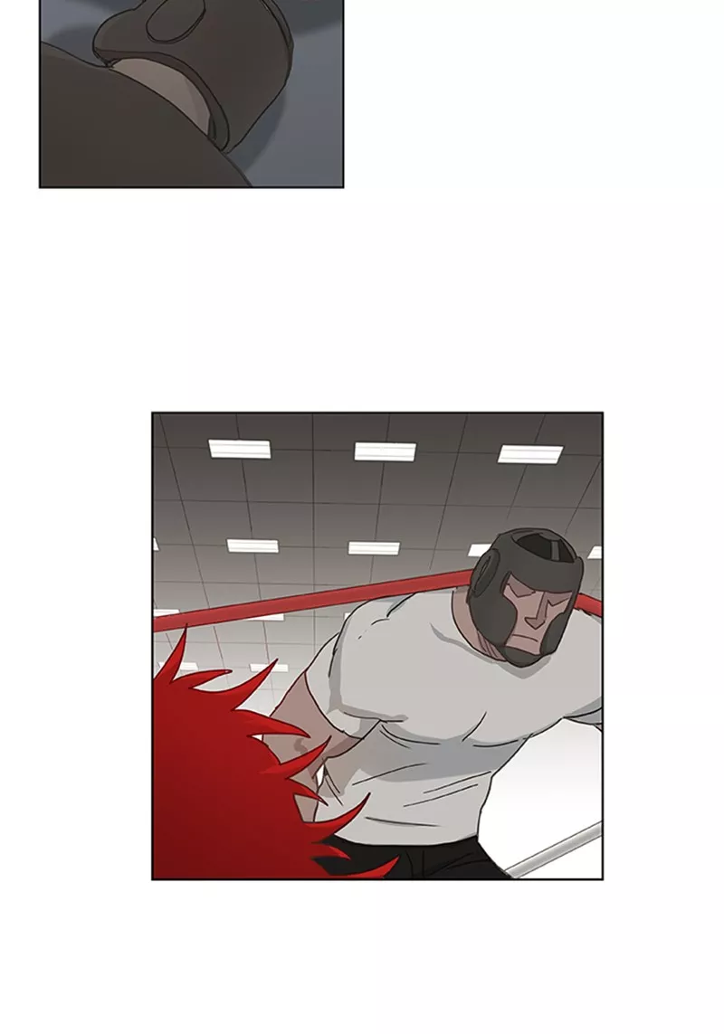 Read The Boxer Manga Online