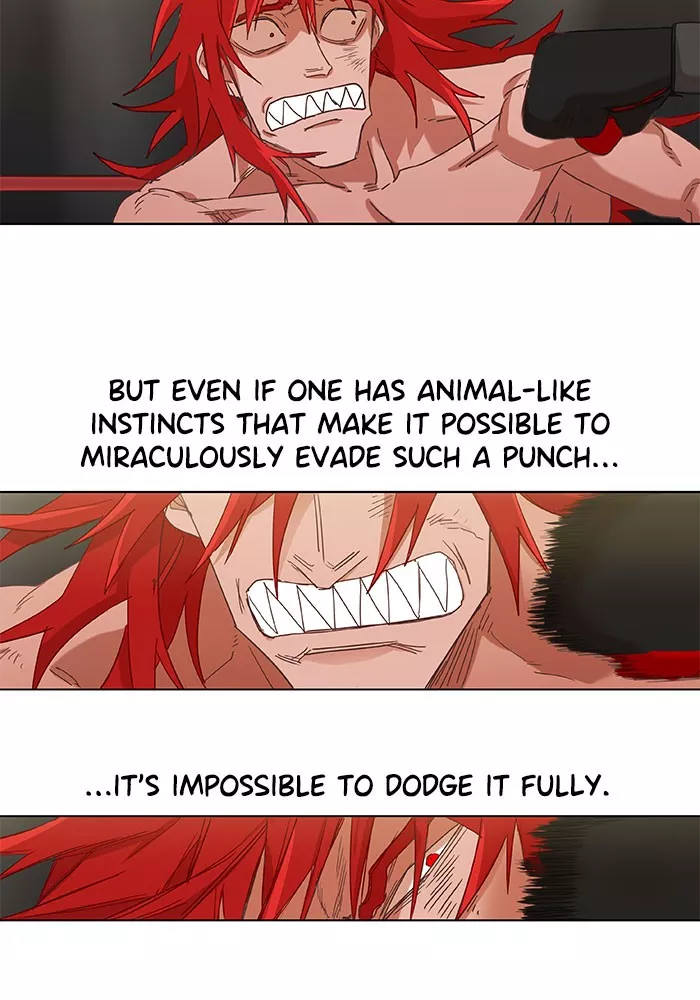 Read The Boxer Manga Online