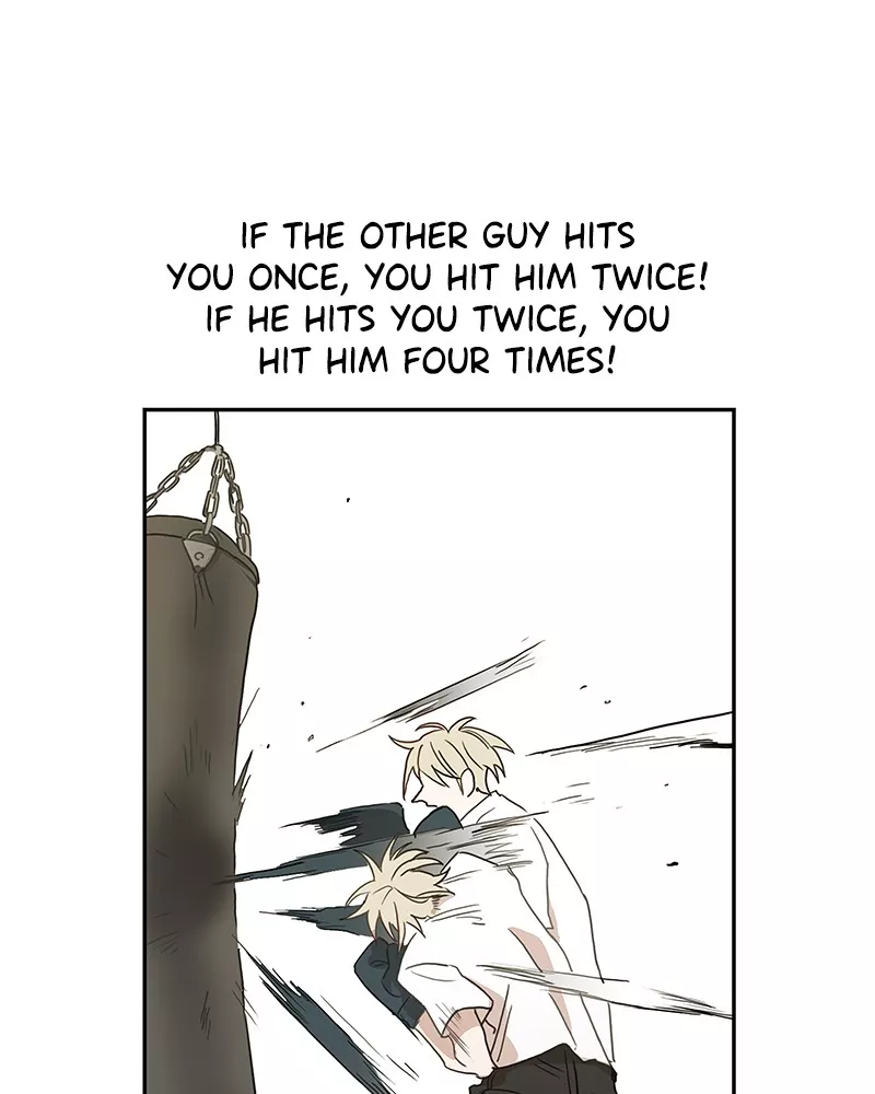 Read The Boxer Manga Online
