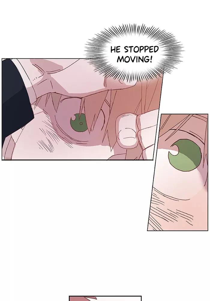 Read The Boxer Manga Online