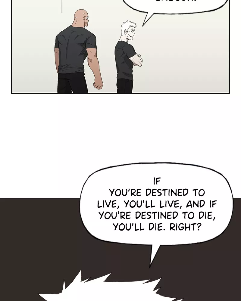 Read The Boxer Manga Online