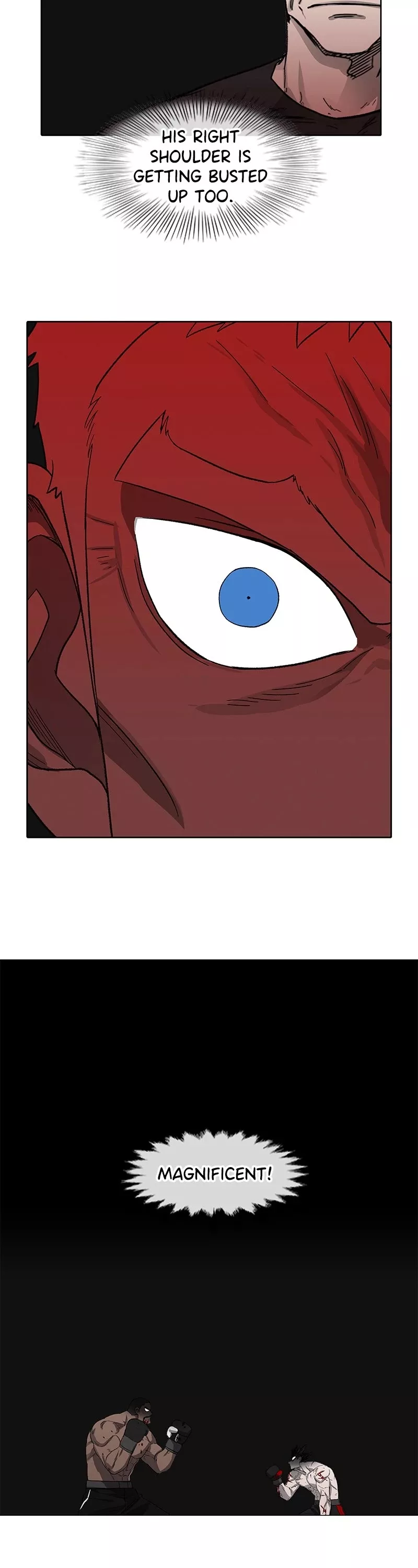 Read The Boxer Manga Online