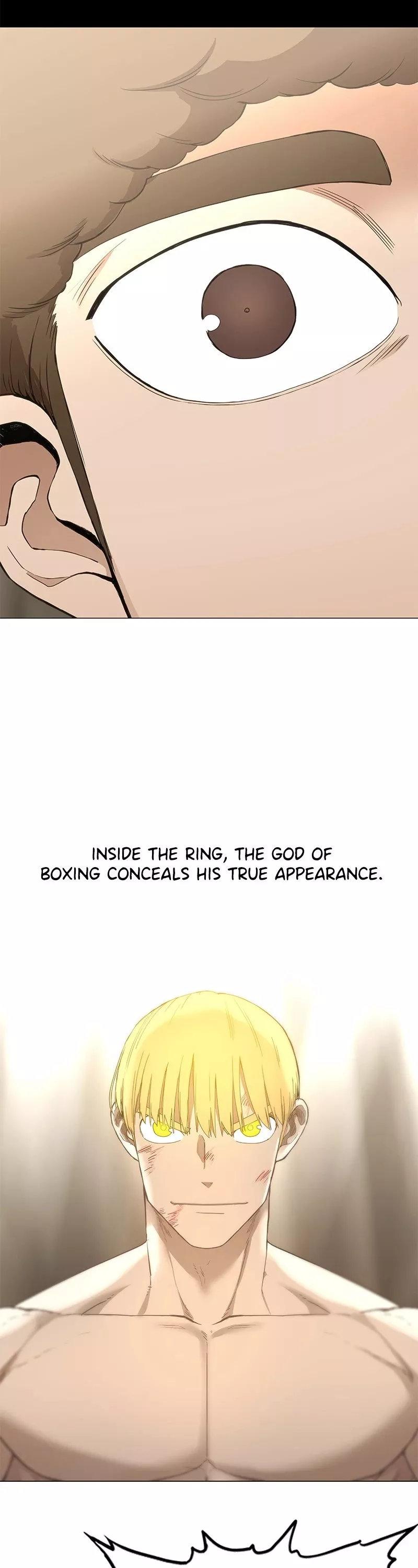 Read The Boxer Manga Online