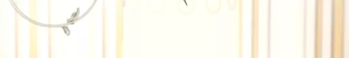 Read The Problematic Prince Manga Online