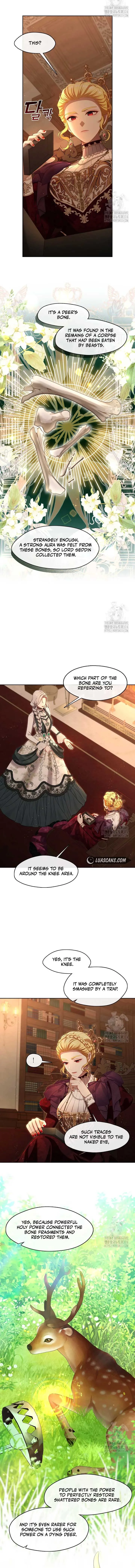Read The S-Class Lady Manga Online