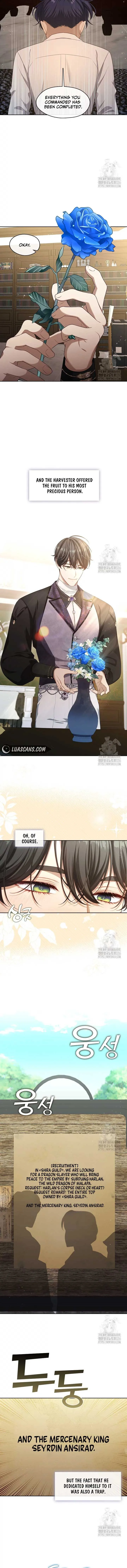 Read The S-Class Lady Manga Online