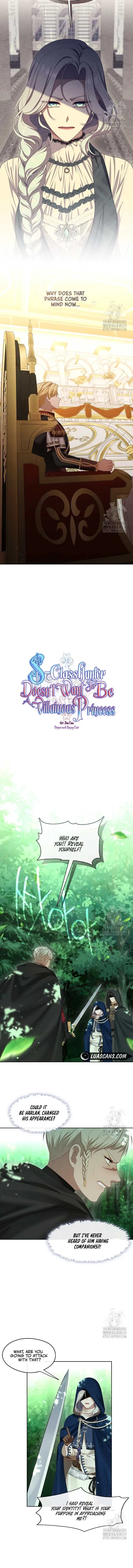 Read The S-Class Lady Manga Online