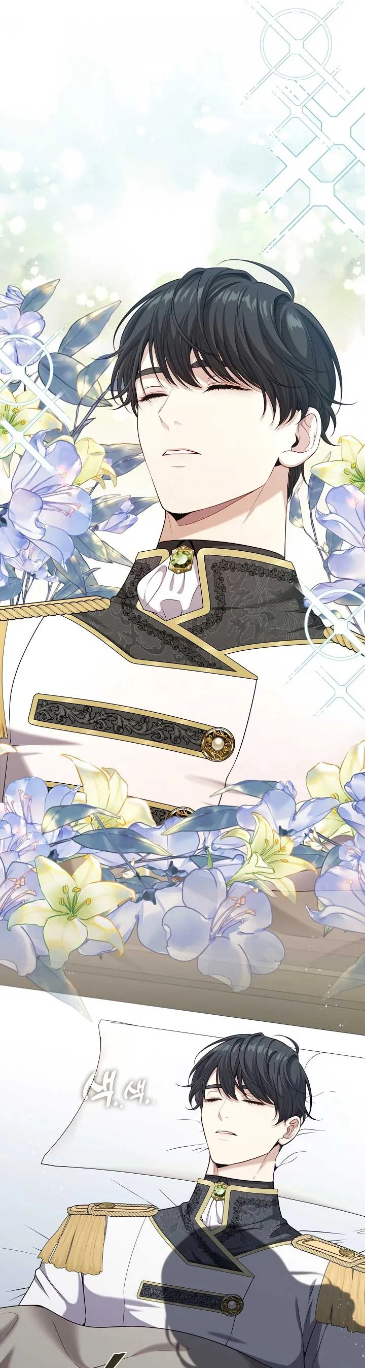 Read The S-Class Lady Manga Online