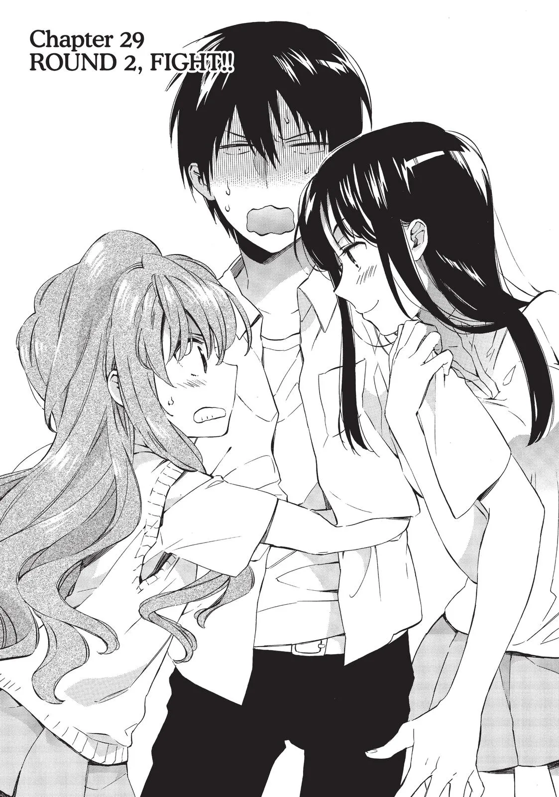Read Toradora Manga Online