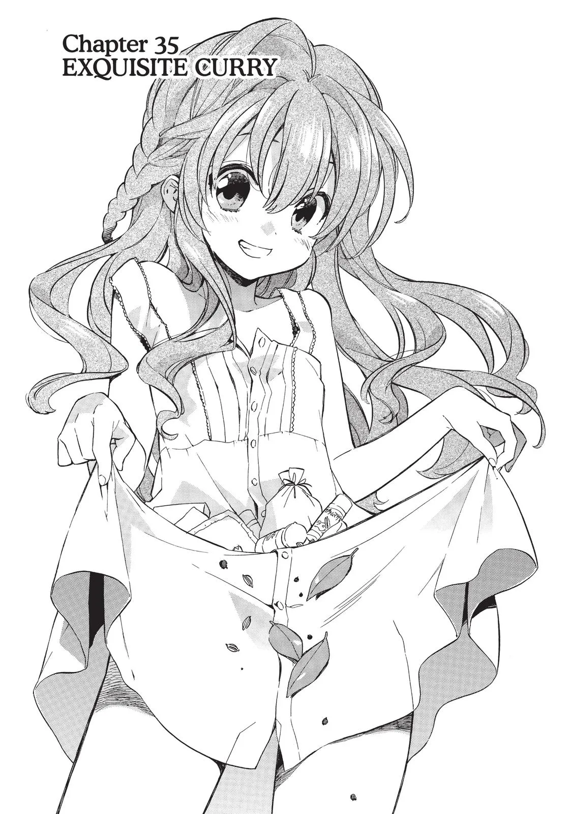 Read Toradora Manga Online