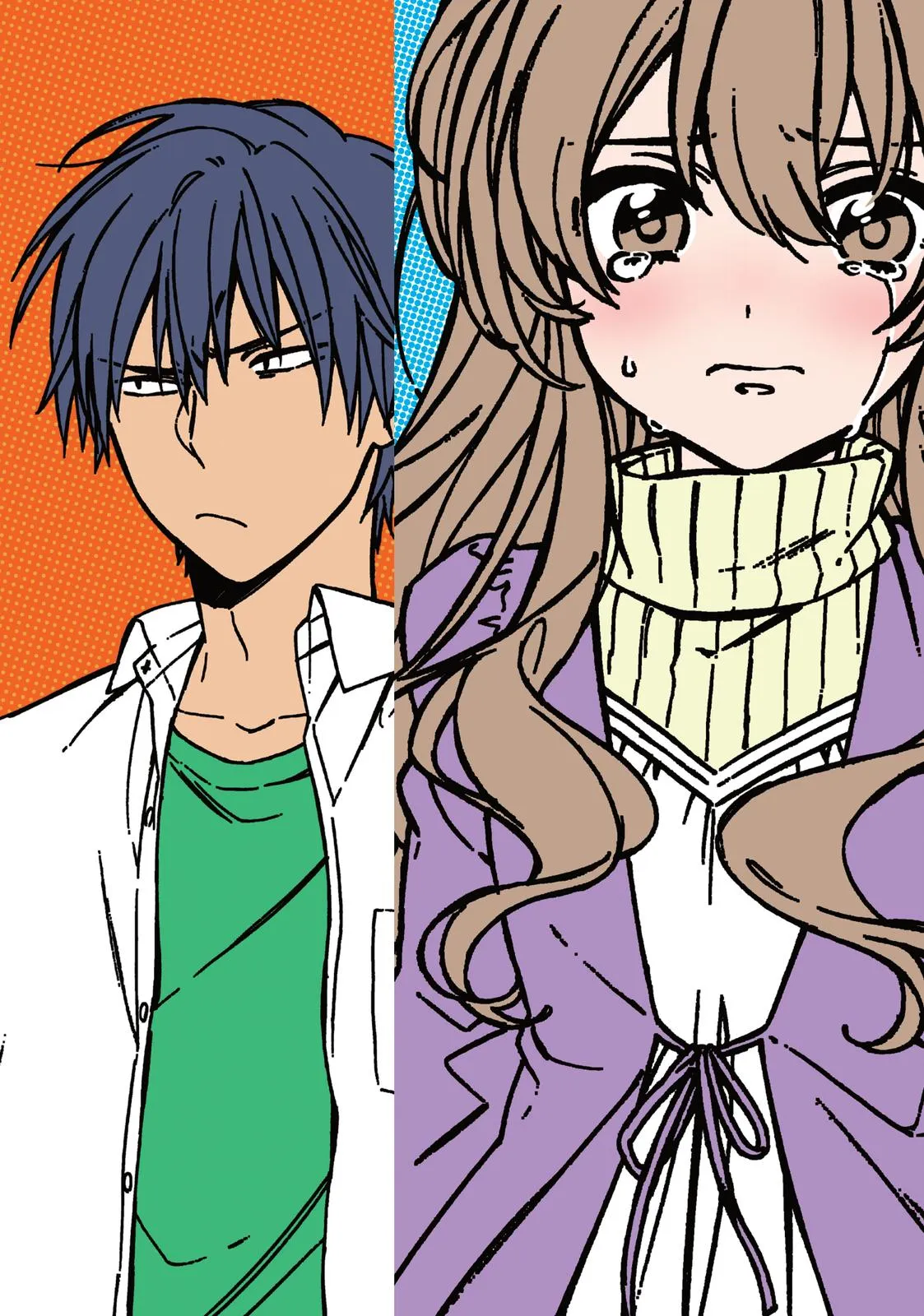 Read Toradora Manga Online
