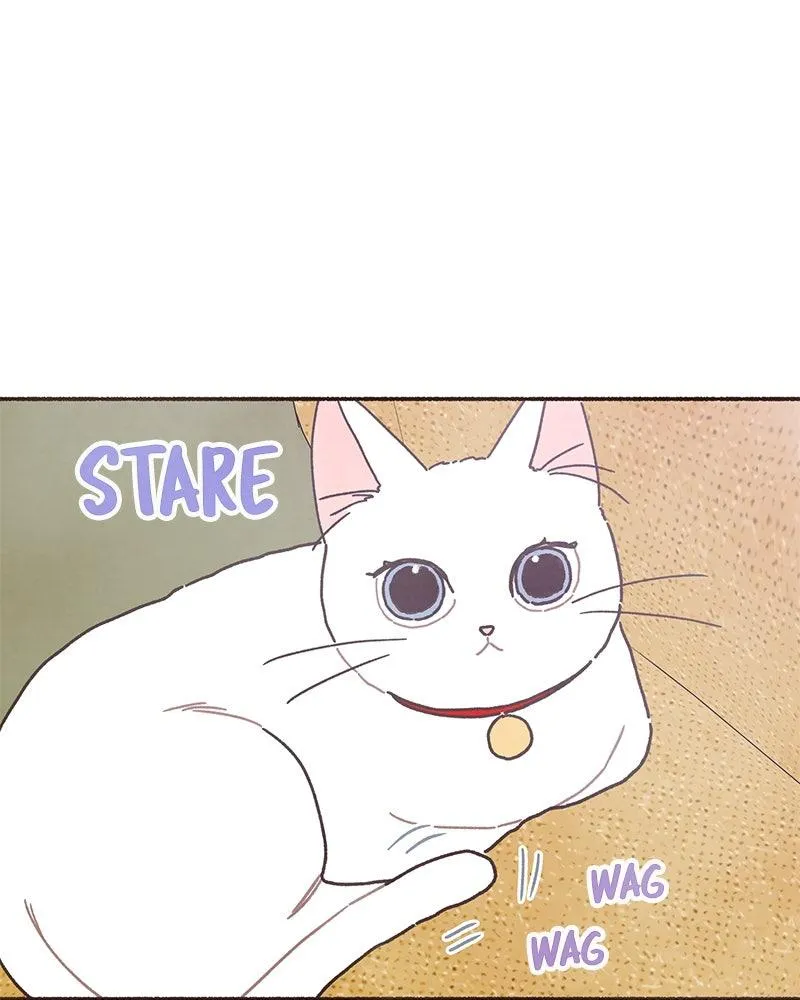 Read Transference Manga Online