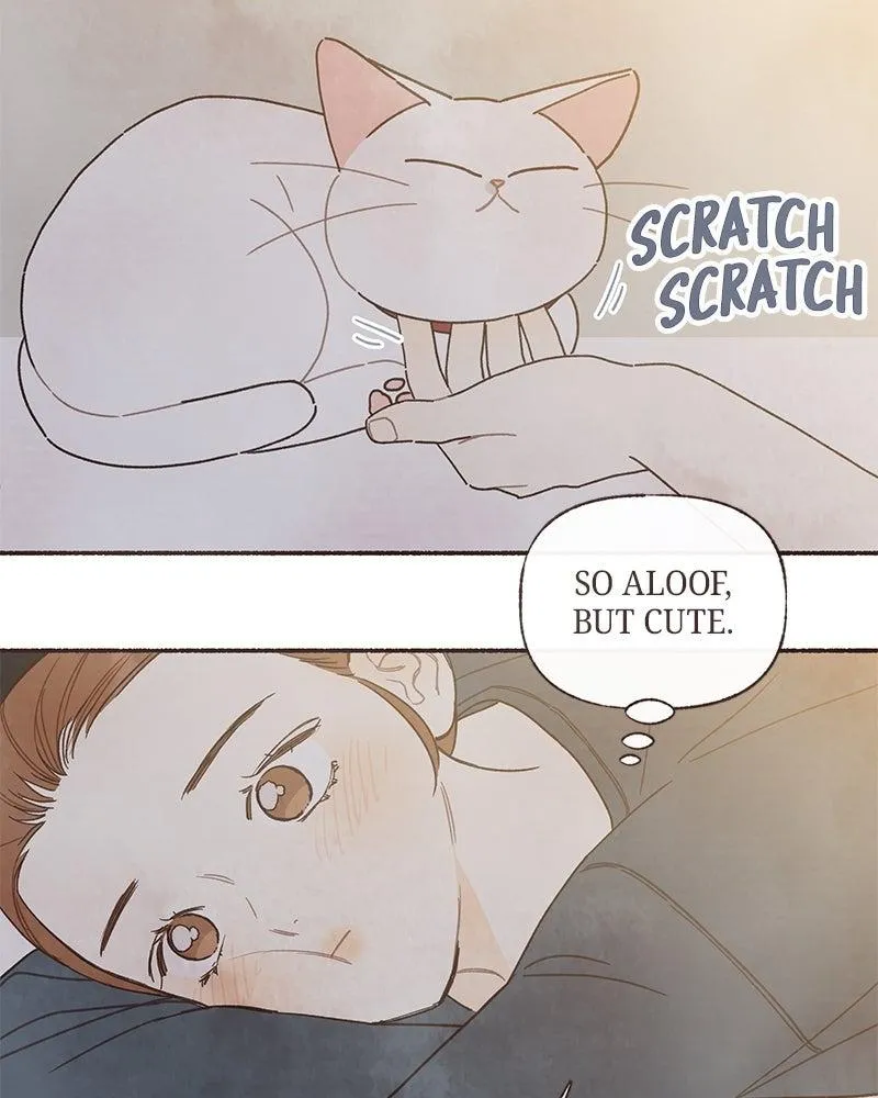 Read Transference Manga Online