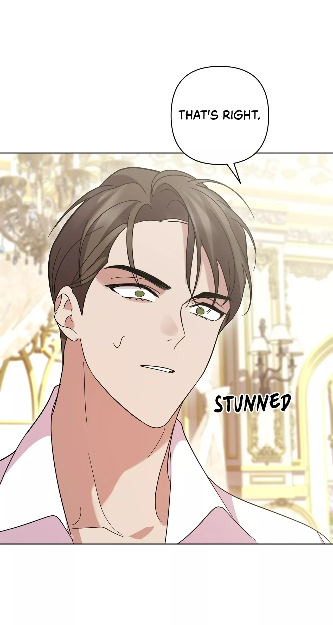 Read Undercover Princess Manga Online