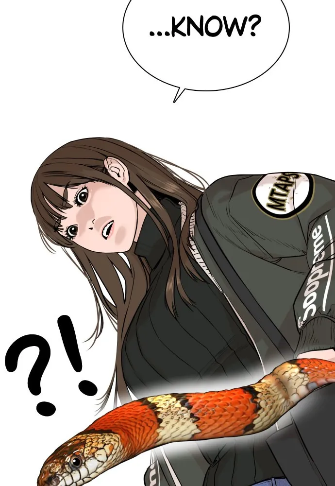 Read Viral Hit Manga Online