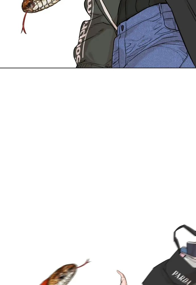 Read Viral Hit Manga Online