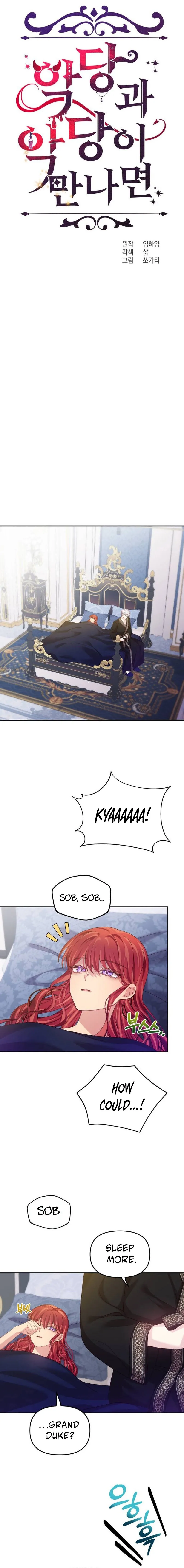 Read When Two Villains Meet Manga Online